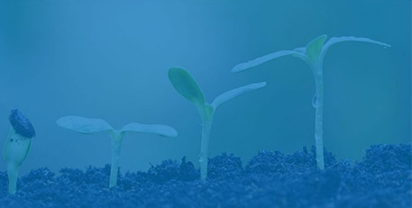 Hiring a Business for Your Small Business Partner Agreement